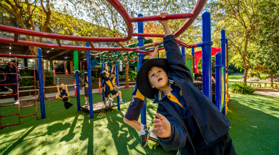 Kids swinging on the monkey bars of their school playground.